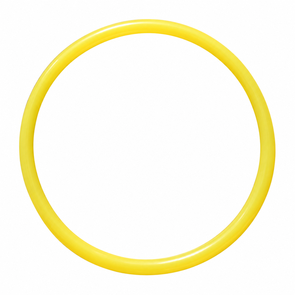 Schwing DN180 Concrete Pump O-Ring Seal