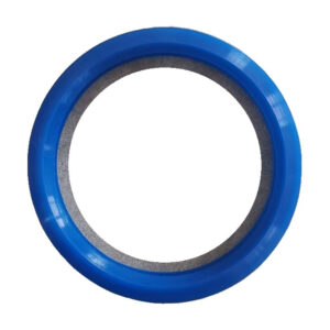 Schwing DN125 Pump Truck Seal Ring