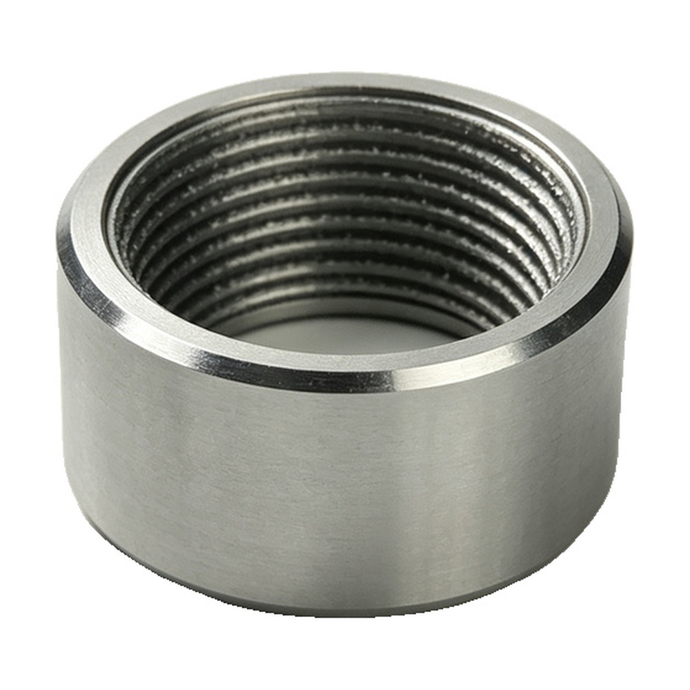 Schwing End Cover Bushing 10018029